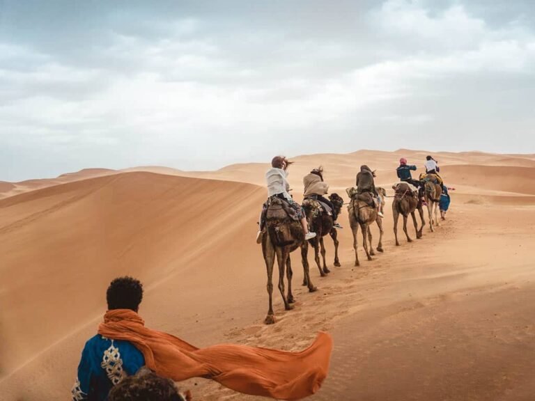 Morocco Desert Tours
